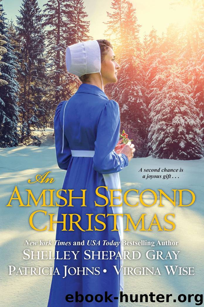 An Amish Second Christmas by Shelley Shepard Gray free ebooks download